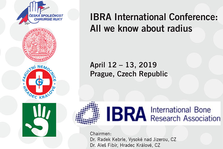 IBRA International Conference: All we know about radius